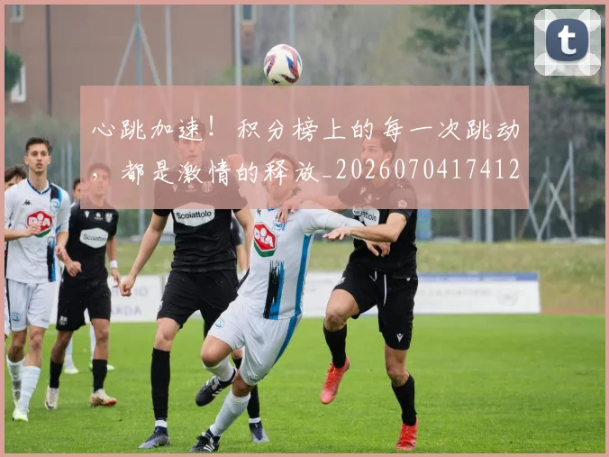 心跳加速!积分榜上的每一次跳动,都是激情的释放_20260704174123_20260724074009