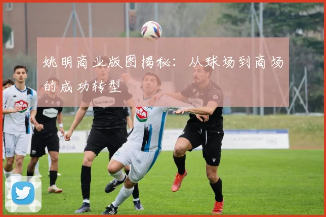 姚明商业版图揭秘:从球场到商场的成功转型